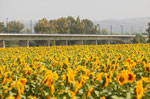 Energ�a y medio ambiente