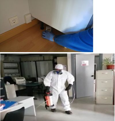 Empresa l�der en el control de plagas (Desinfecci�n, desinsectaci�n y desratizaci�n)