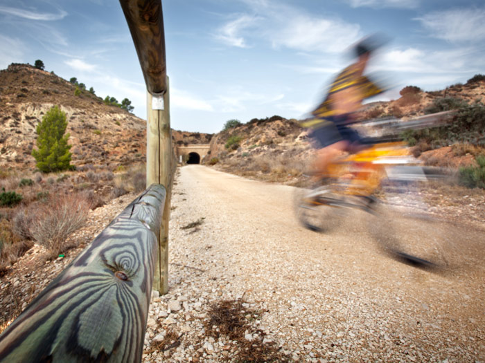 Accesit: "Naturalmente V�a Verde". Vicente Guill Fuster. Foto tomada en la V�a Verde del Maigm�, del frustado ferrocarril de Alcoi a Agost. (Alicante) 