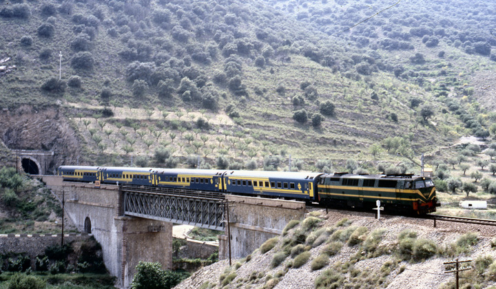 Foto: Paco Zabala