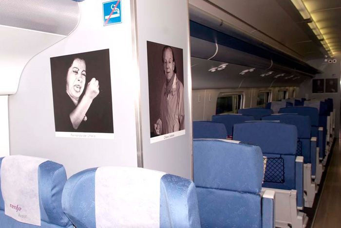 Unas cien mil personas podr�n disfrutar de la exposici�n a bordo de los trenes
