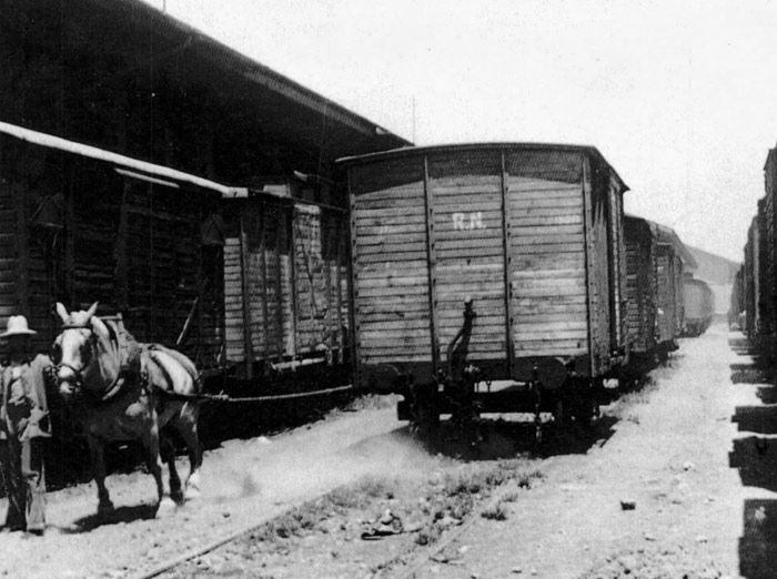 Las mulas eran empleadas en el removido de vagones para situarlos o retirarlos de los muelles de descarga. Imagen de la playa de peque�a velocidad de Madrid Atocha.