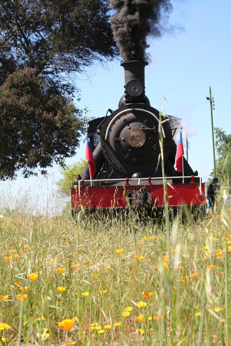 El ferrocarril estuvo abandonado desde 1985 hasta 2004