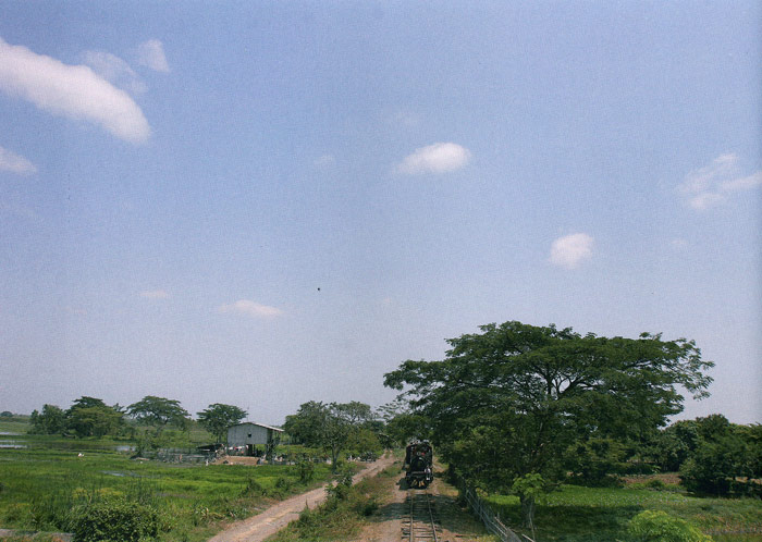 Paisaje del litoral ecuatoriano, entre Dur�n y Yaguachi