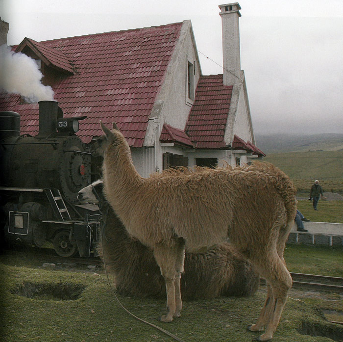 Locomotora 53 en la estaci�n de Urbina, de la l�nea Dur�n-Quito, a 3.609 metros de altitud
