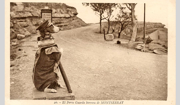 Vista en primer plano del perro guardabarrera en Montserrat. Archivo Hist�rico Ferroviario TP-VA-0782