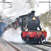 El Tren de la Fresa en Miranda de Ebro