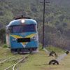 El ferrocarril en Chile