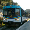 El ferrocarril de la Provenza o Tren de la Pi�as (Francia)
