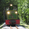 El tren del cemento del Alto Bergued�